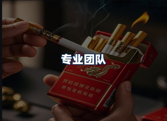 专业团队